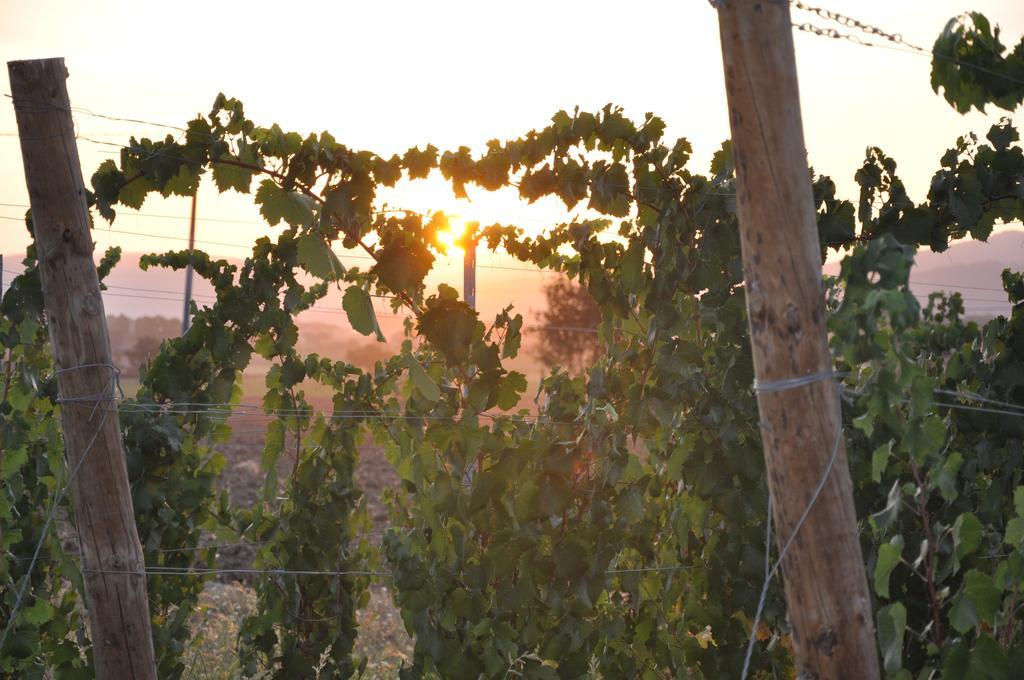 Morami Wine Agriturismo Panicarola Екстер'єр фото