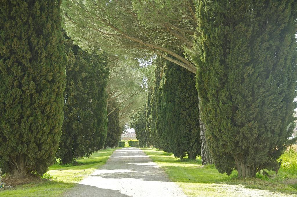 Morami Wine Agriturismo Panicarola Екстер'єр фото